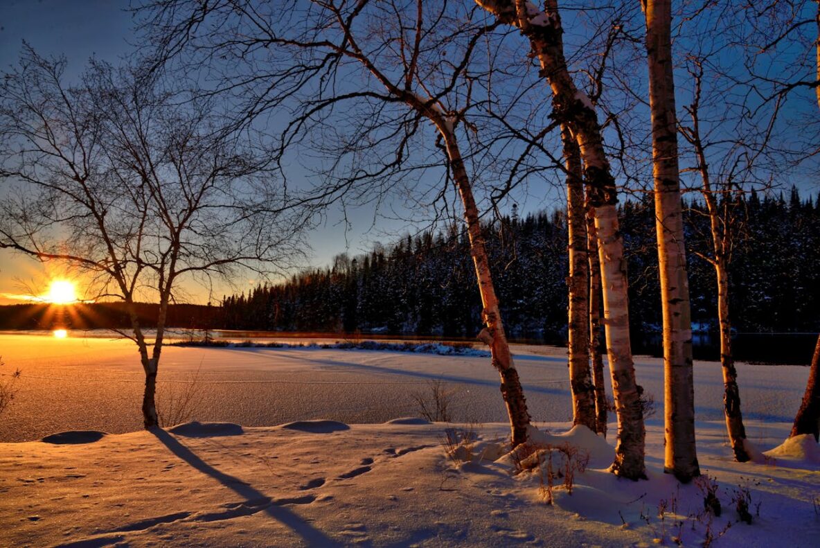 Winter-Landscape