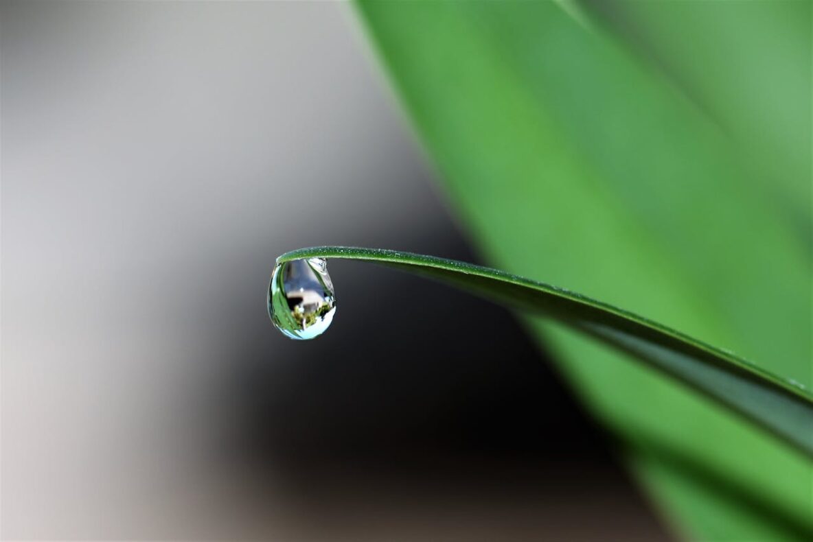 drop-of-water